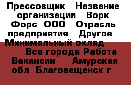 Прессовщик › Название организации ­ Ворк Форс, ООО › Отрасль предприятия ­ Другое › Минимальный оклад ­ 27 000 - Все города Работа » Вакансии   . Амурская обл.,Благовещенск г.